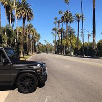 Отзыв от Никита - виза ДТВ